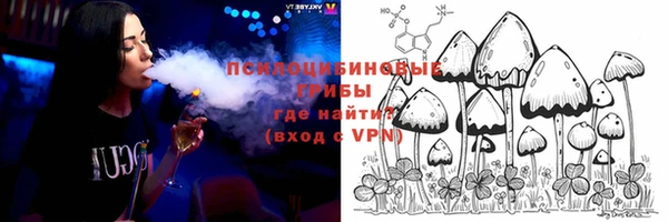 амф Инсар