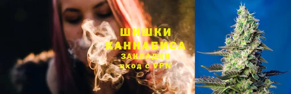 эйфоретик Каменка