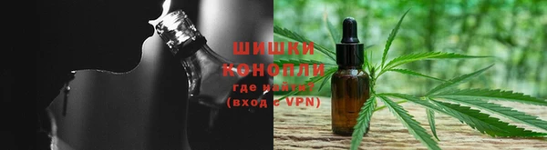амф Инта