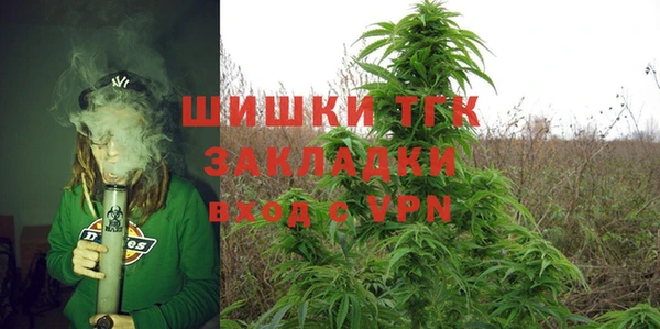 амф Инсар