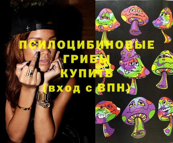 дживик Каменногорск