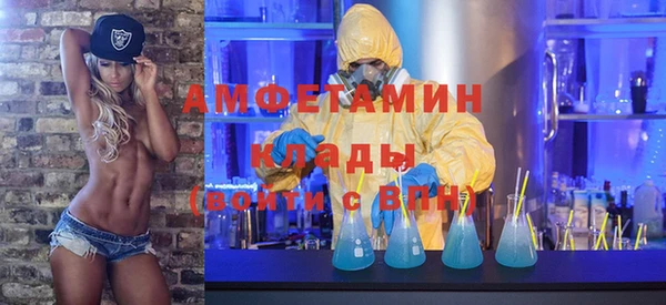 амф Инсар