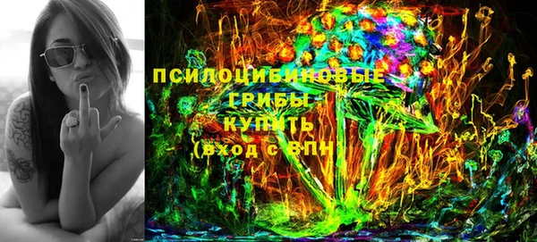 амф Инта