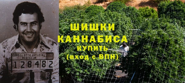 амф Инсар