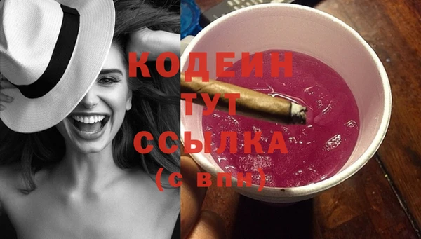 амф Инта